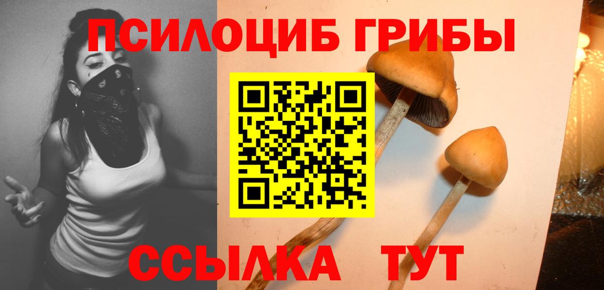 Псилоцибиновые грибы Cubensis  Вход с VPN  Отрадный 